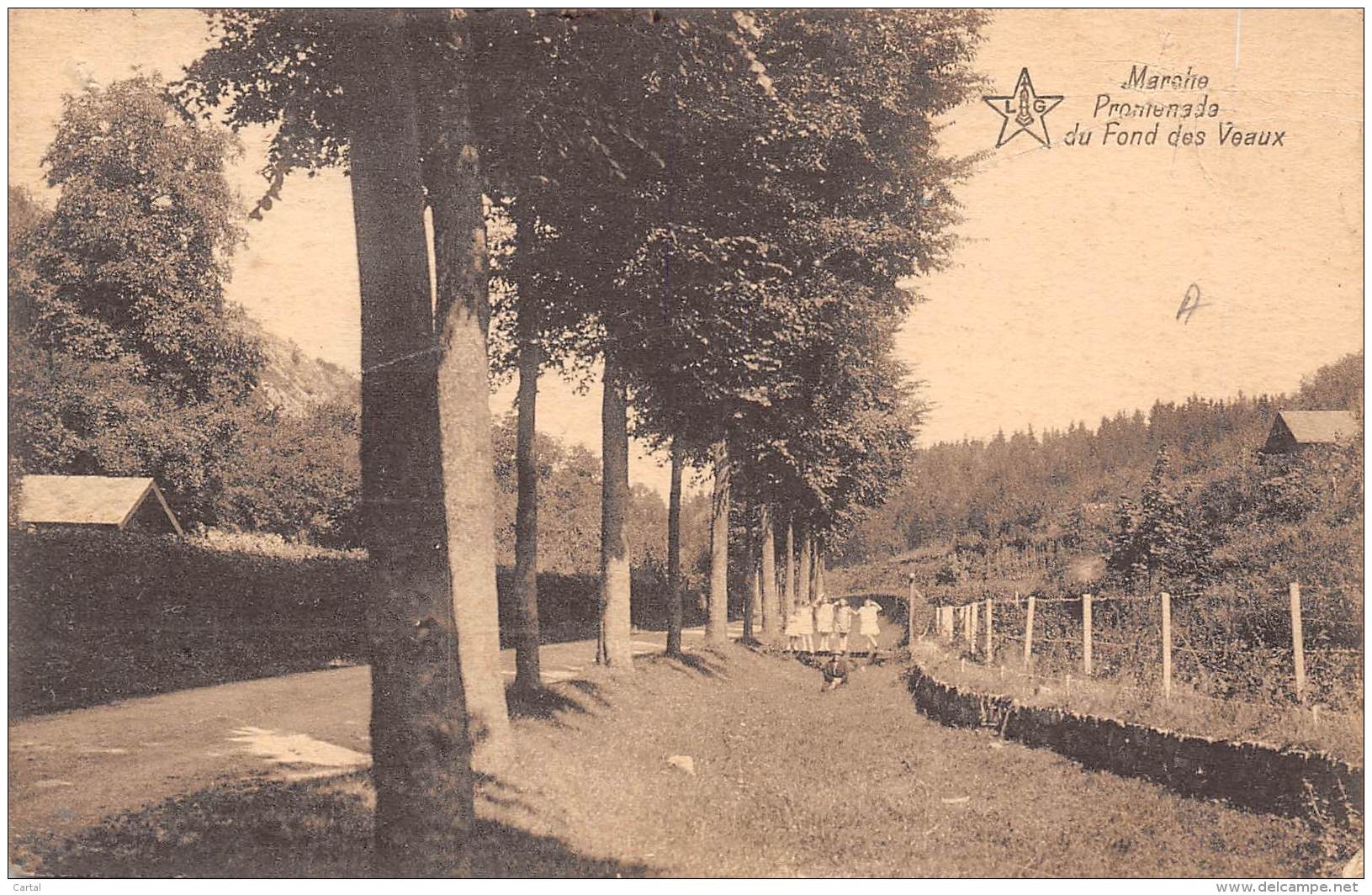 MARCHE - Promenade Du Fond Des Veaux - Marche-en-Famenne