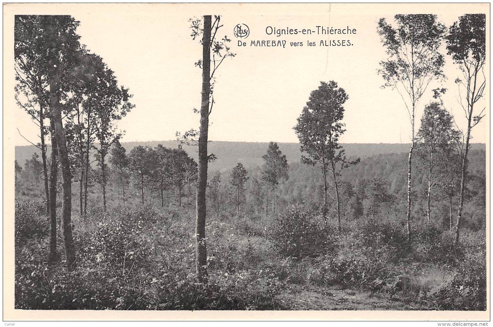 OIGNIES-en-THIERACHE - De MAREBAY Vers Les ALISSES - Viroinval