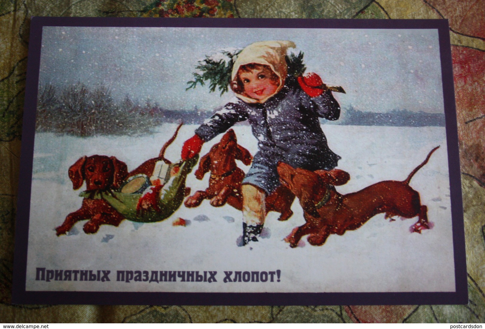 WE WISH YOU HAPPY PROBLEMS! - Dachshund - Teckel - Dackel - Bassotto - Modern Russian  Postcard - Hunde