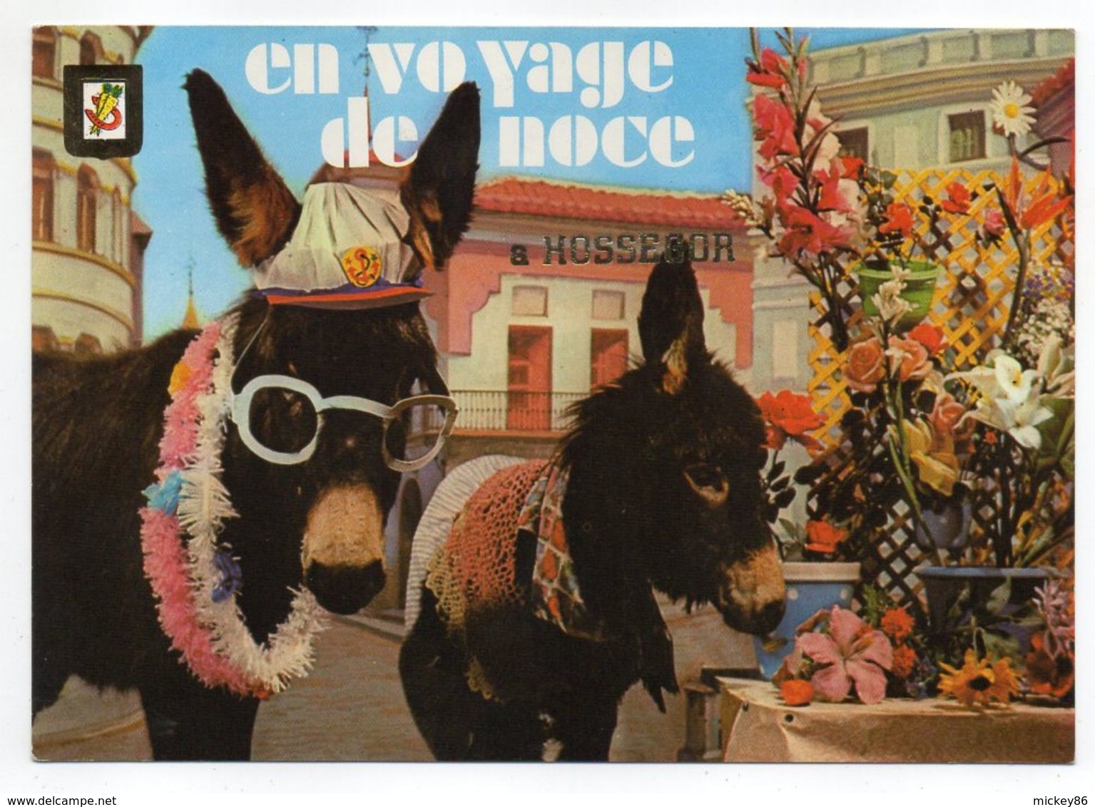 HOSSEGOR--1973--Fantaisie "Voyage De Noce à Hossegor" (ânes)---cachet Hossegor-40,  Pas Très Courante - Hossegor