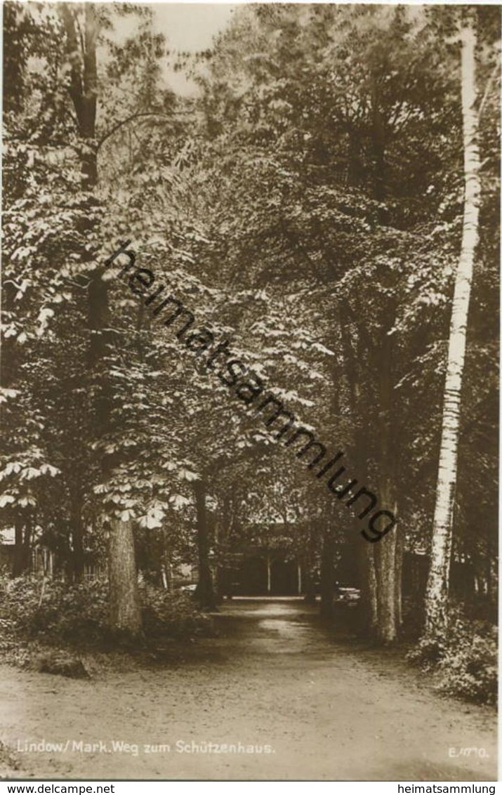 Lindow (Mark) - Weg Zum Schützenhaus - Foto-AK 20er Jahre - Verlag G. Schroeter Lindow Buch- Und Papierhandlung - Lindow