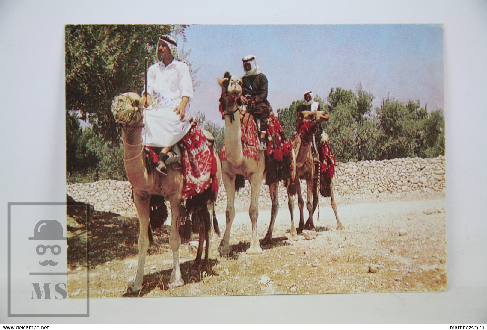 Vintage Asia Postcard - Kingdom Of Jordan - Camel Caravan - Jordania