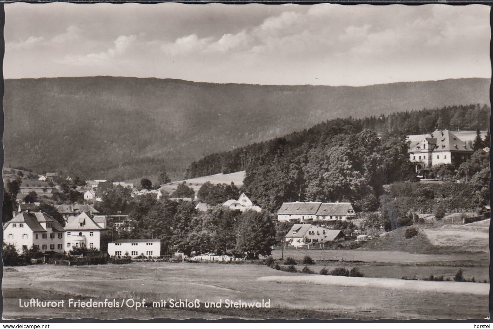 D-95688 Friedenfels Im Steinwald - Mit Schloß (50er Jahre) - Tirschenreuth