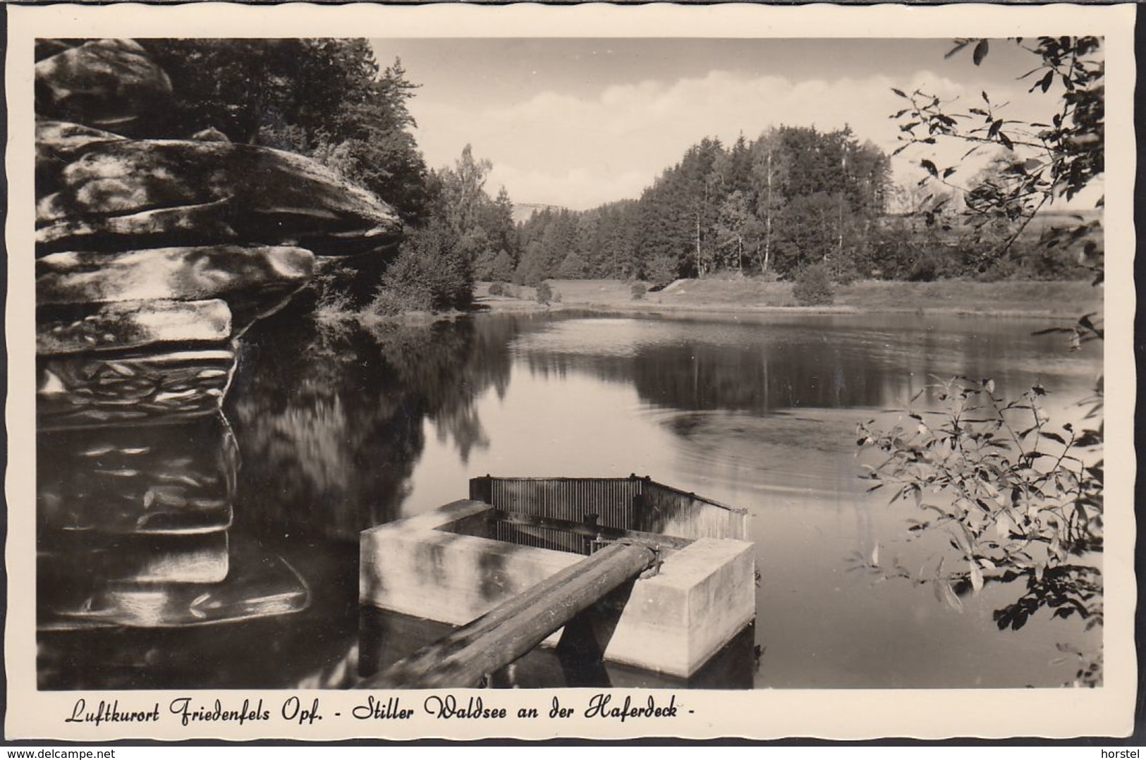 D-95688 Friedenfels Im Steinwald- Stiller Waldsee An Der Haferdeck (50er Jahre) - Tirschenreuth