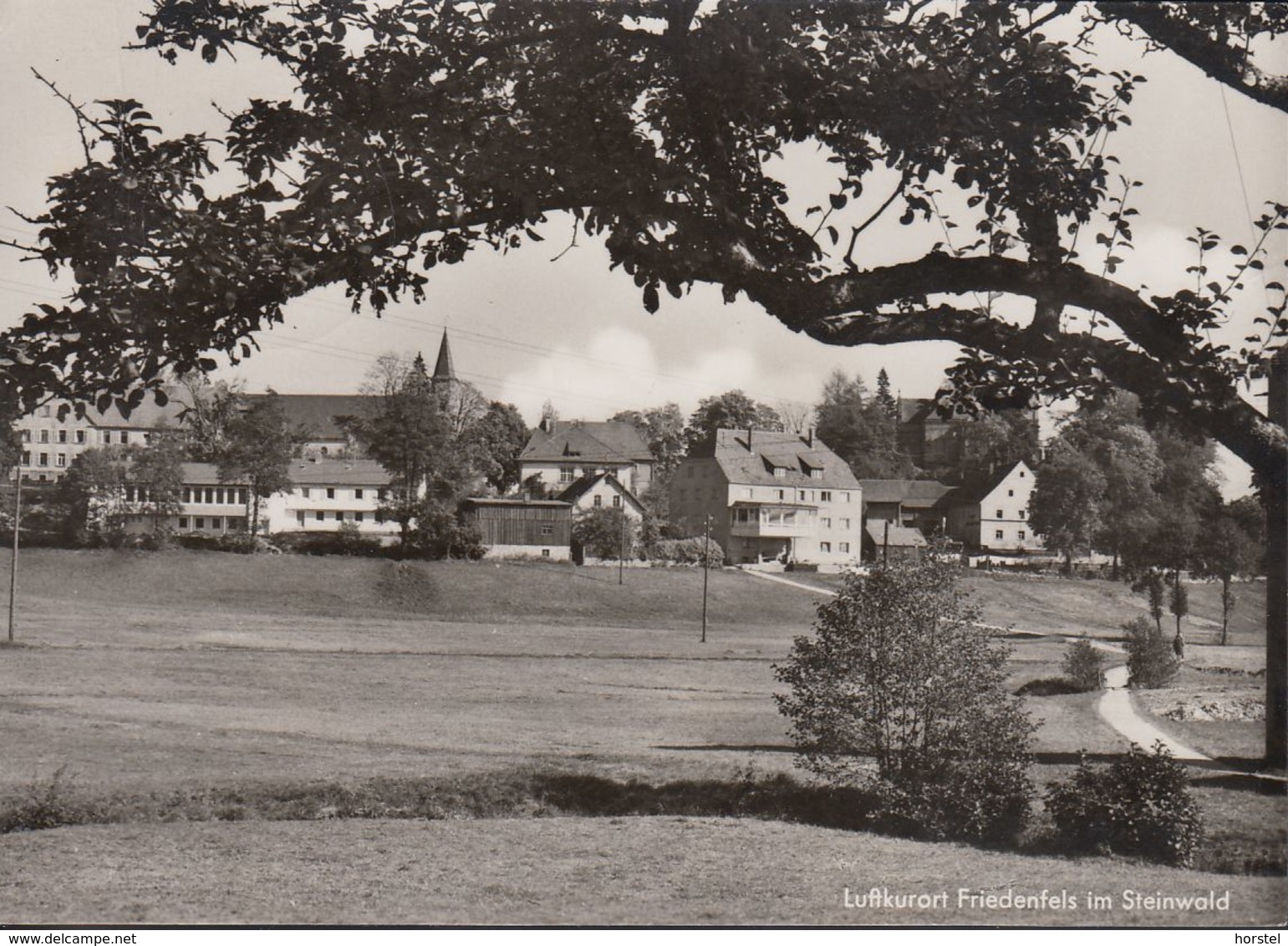 D-95688 Friedenfels Im Steinwald - Ortsansicht (60er Jahre) - Tirschenreuth