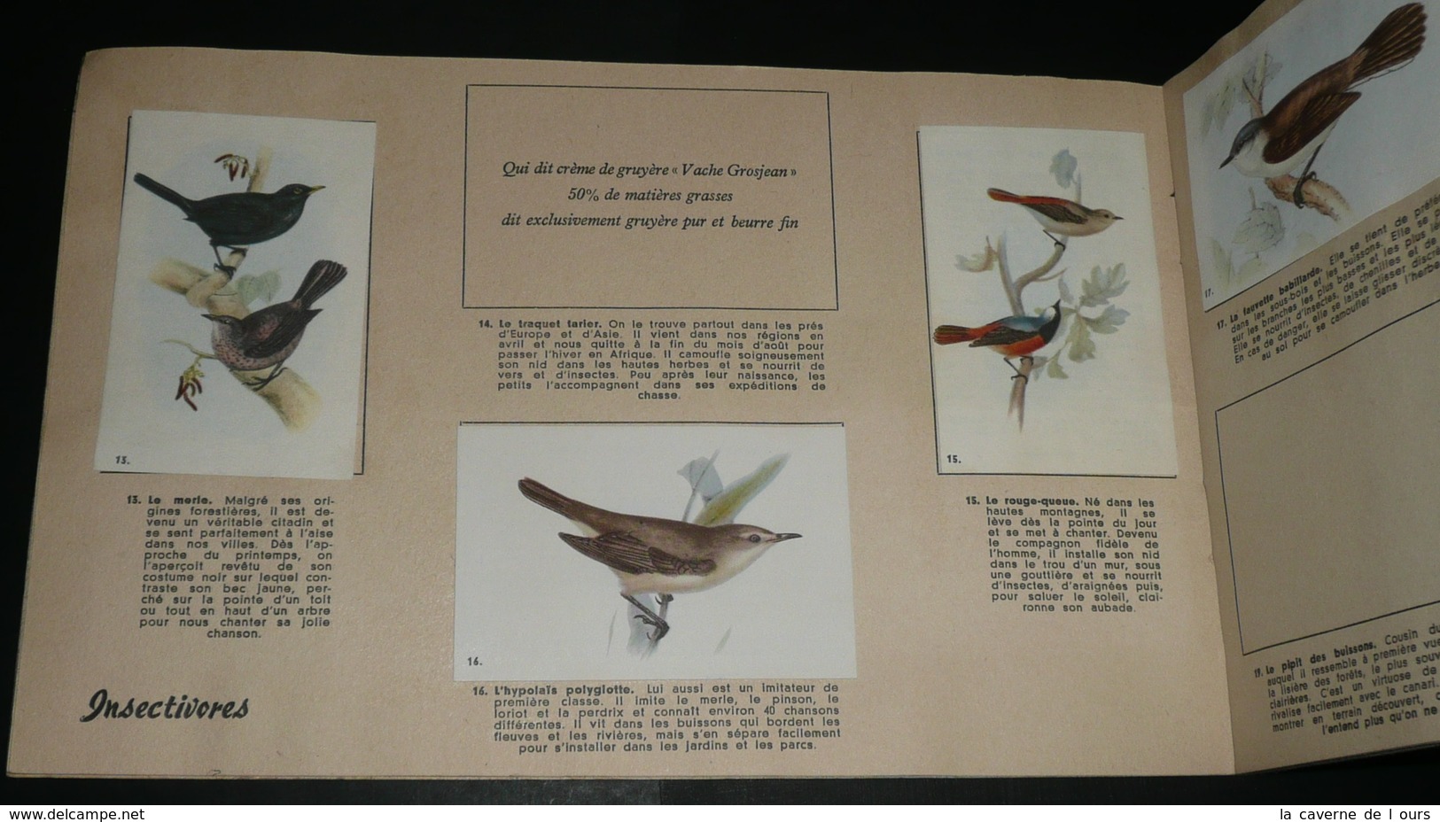 Ancien Album Collecteur D'images/chromos Crème De Gruyère LA VACHE GROSJEAN Lons Le Saunier Oiseaux De Nos Pays - Sammelbilderalben & Katalogue