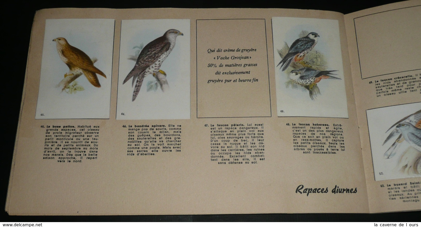 Ancien Album Collecteur D'images/chromos Crème De Gruyère LA VACHE GROSJEAN Lons Le Saunier Oiseaux De Nos Pays - Albums & Catalogues