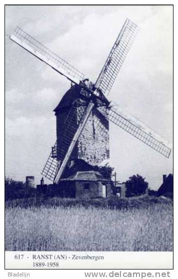 RANST (Antw.) - Molen/moulin - Blauwe Prentkaart Ons Molenheem Van De 'Grote Duffelaar' In Close-up + Stenen Molenromp - Ranst