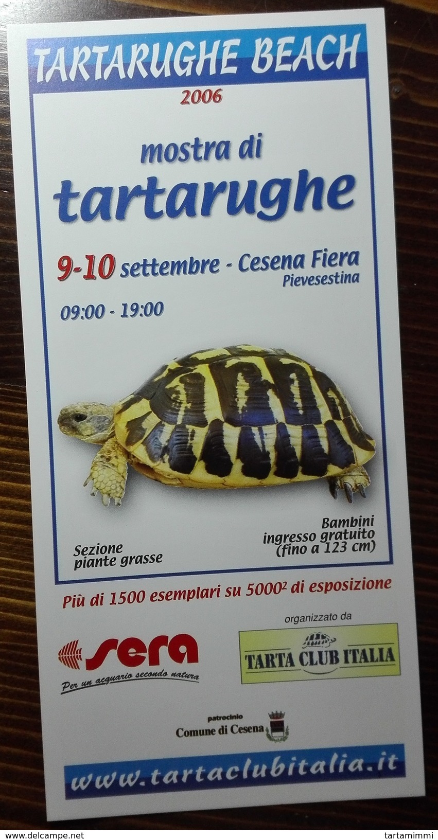 TURTLE TORTOISE TORTUE TARTARUGA TORTUGA 2006 ITALIAN SHOW "TARTARUGHE BEACH" ADVERTISEMENT - Autres & Non Classés