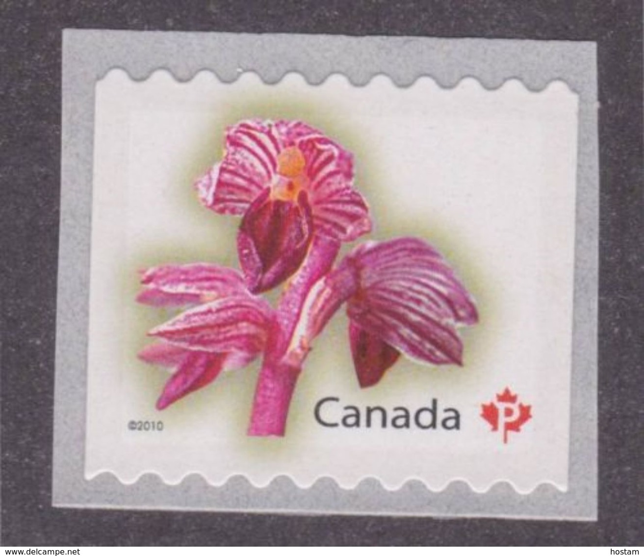 CANADA 2010, # 2361 DEFINITIVES: FLOWERS:STRIPED CORALROOT  HORIZONTAL . STRIP OF 4  "P" STAMP  , M NH - Coil Stamps