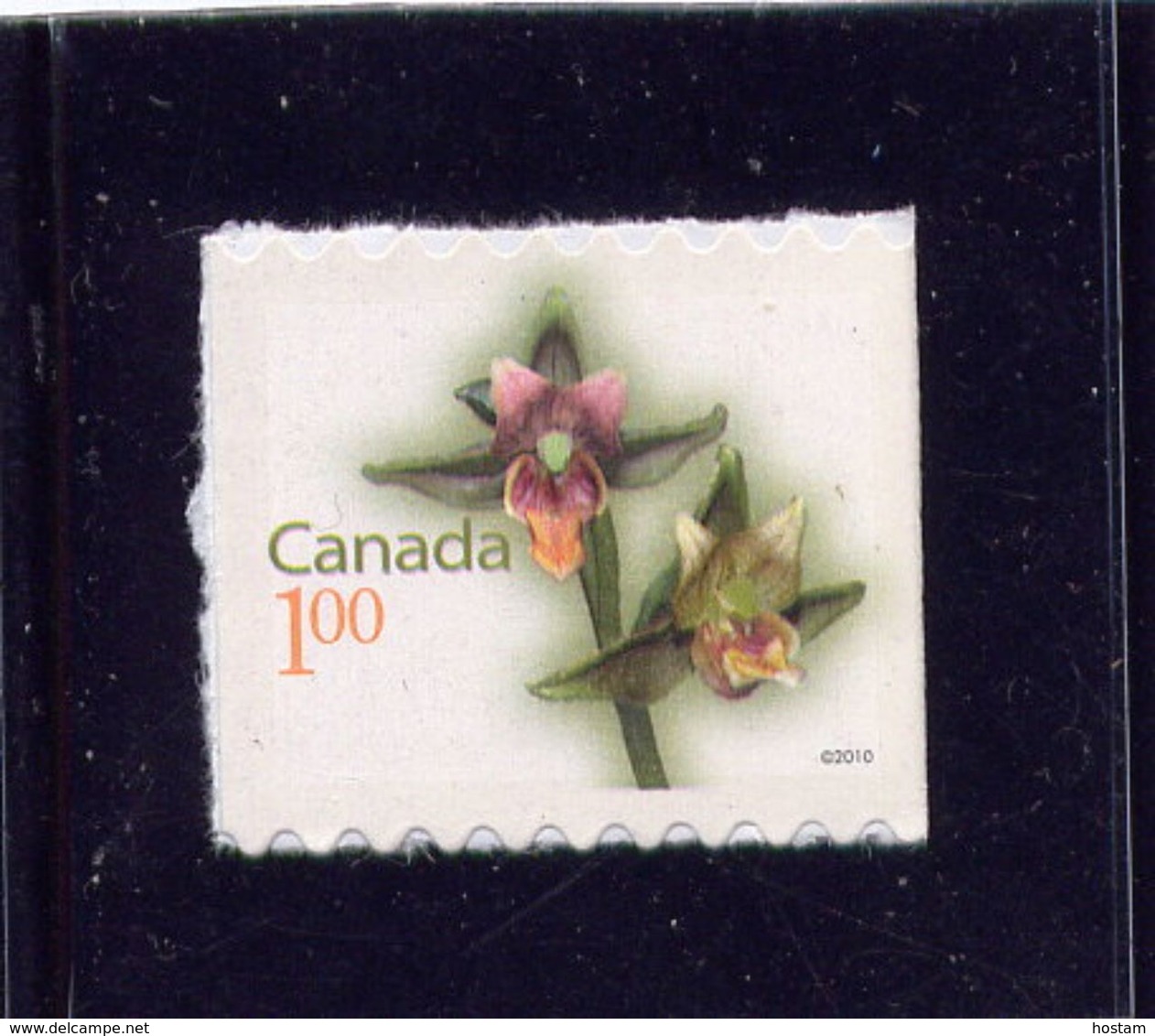 CANADA, 2010, # 2362,  GIANT HELLEBORINE, $1.00 Stamp - Single Stamps