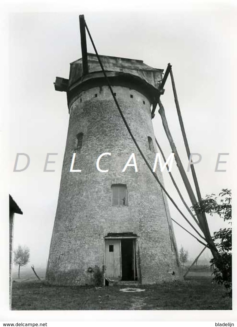 EVERGEM - Vierlinden (O.Vl.) - Molen/moulin - Echte Foto 18x24 Cm Van De Verdwenen Brielmolen Omstreeks 1940 (romp) - Lieux