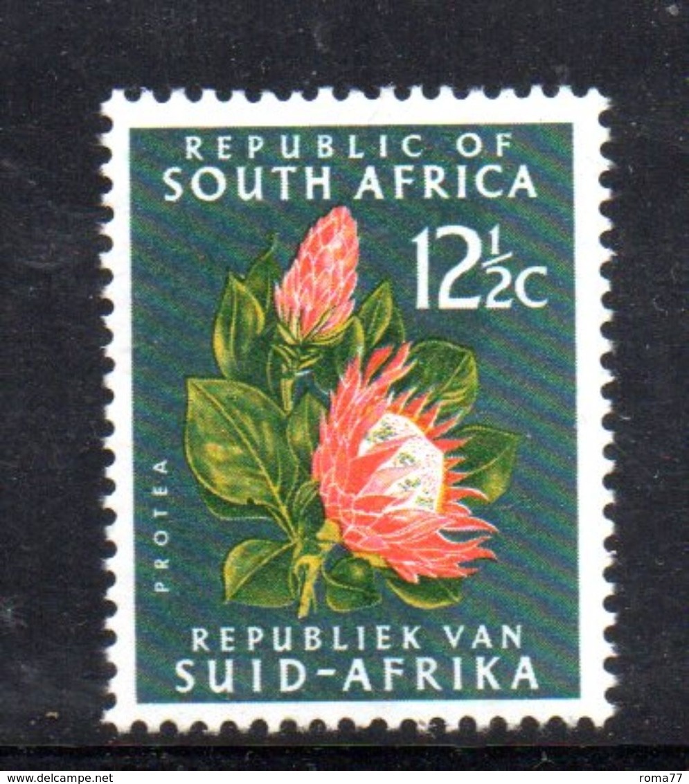 T477 - SUD AFRICA , 12 1/2 Cent  Dent 14  Fil  RSA  ** - Neufs