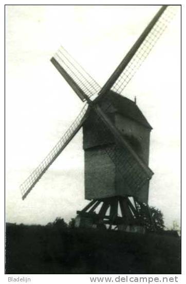 EKSAARDE Bij Lokeren (O.Vl.) - Molen/moulin - De Verdwenen Zuidledemolen Of Bombeke's Molen Omstreeks 1930 - Lokeren