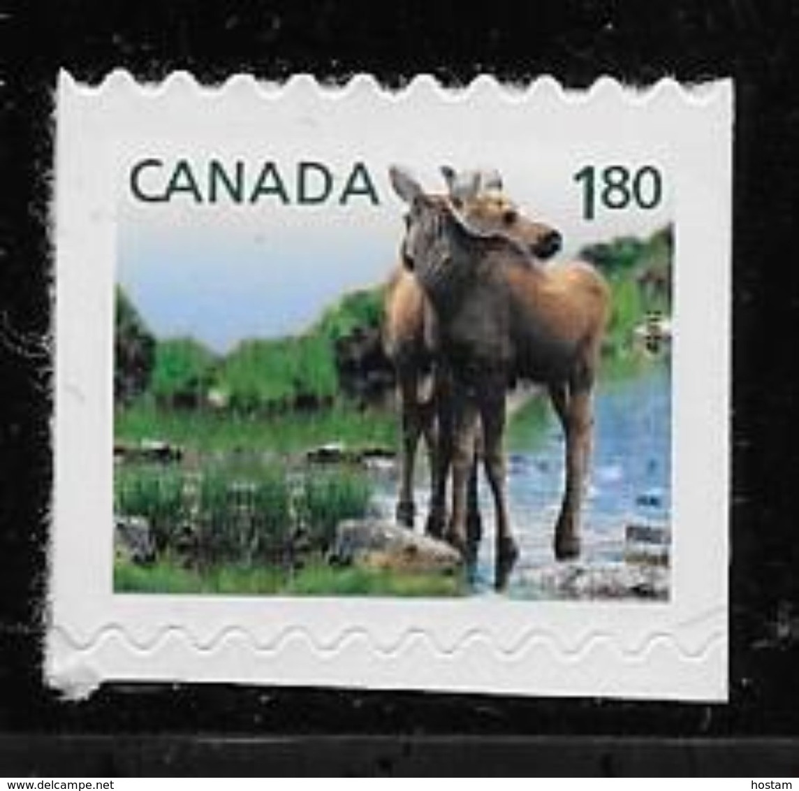 CANADA 2012, # 2512    BABY WILDLIFE: MOOSE   Single From Booklet Mnh - Single Stamps