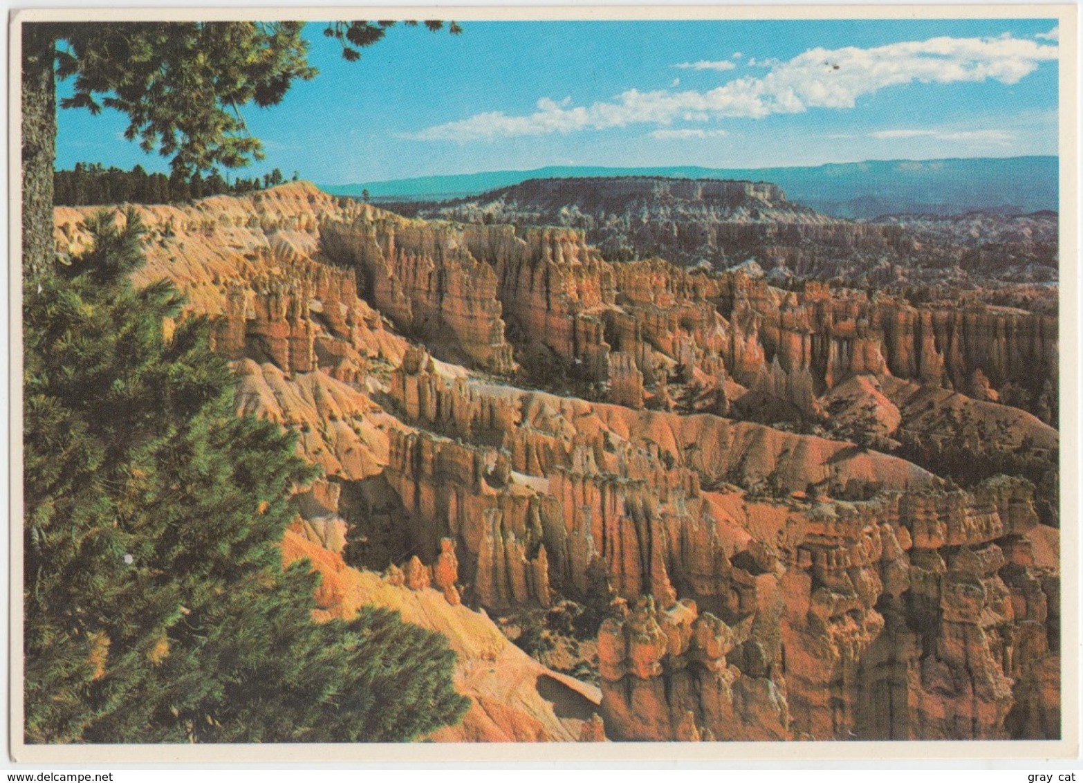 Boat Mesa And The Queen's Garden, Bryce Canyon National Park, Utah, Unused Postcard [20853] - Bryce Canyon