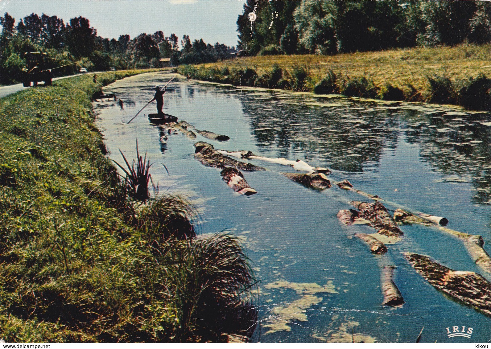 Le MARAIS POITEVIN - Transport De Bois Par Voie D'eau - - Otros & Sin Clasificación