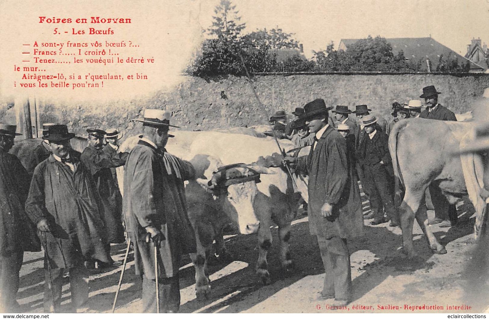 Saulieu     21       Le Morvan Illustré:  Marché  Aux  Bestiaux. Les Boeufs    (voir Scan) - Saulieu