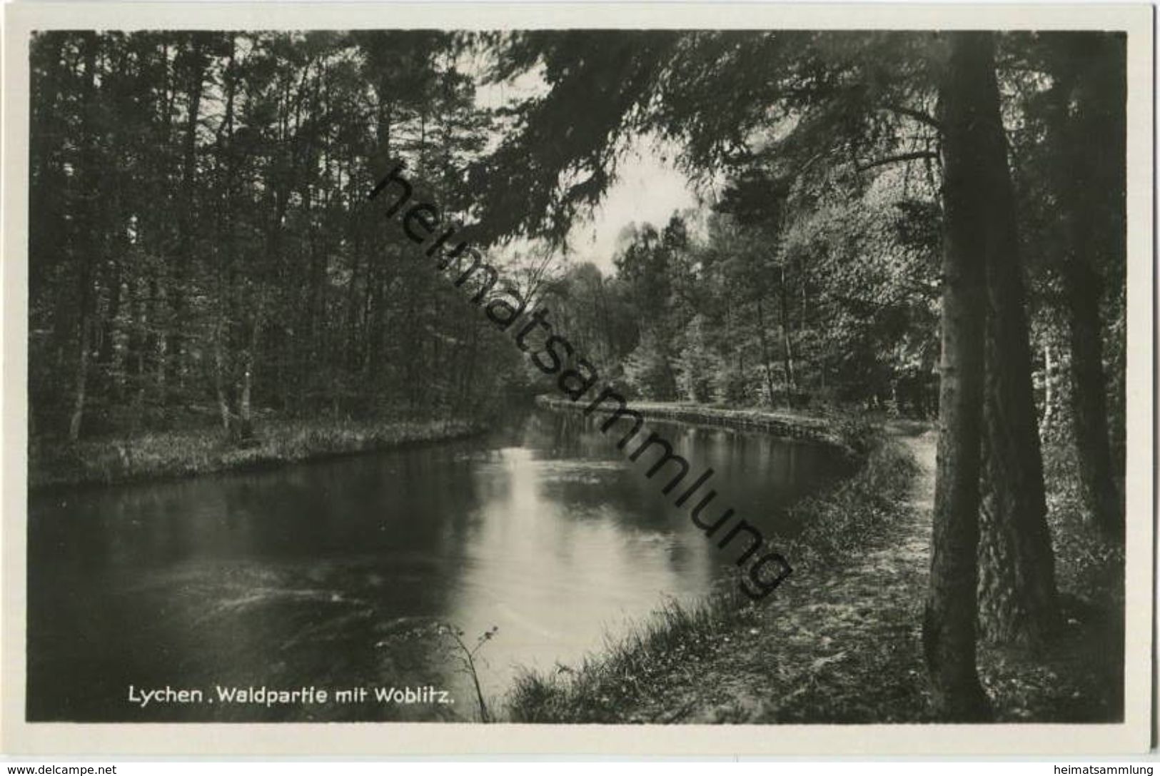 Lychen - Waldpartie Mit Woblitz - Foto-AK 30er Jahre - Verlag J. Goldiner Berlin - Lychen
