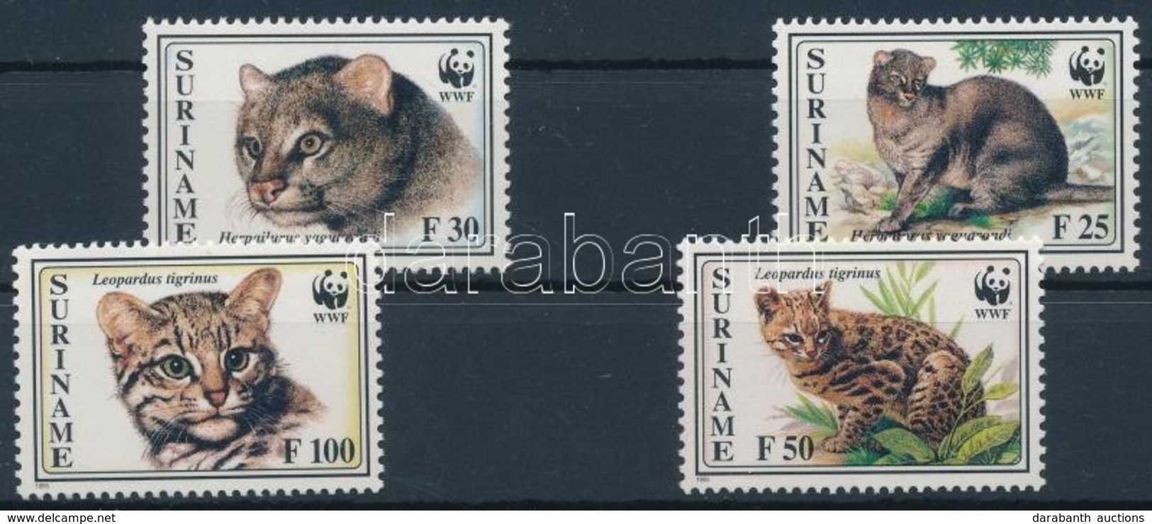 ** 1995 WWF: Kisméretű Macskafajták 4 érték + 4 FDC Mi 1514-1517 - Other & Unclassified