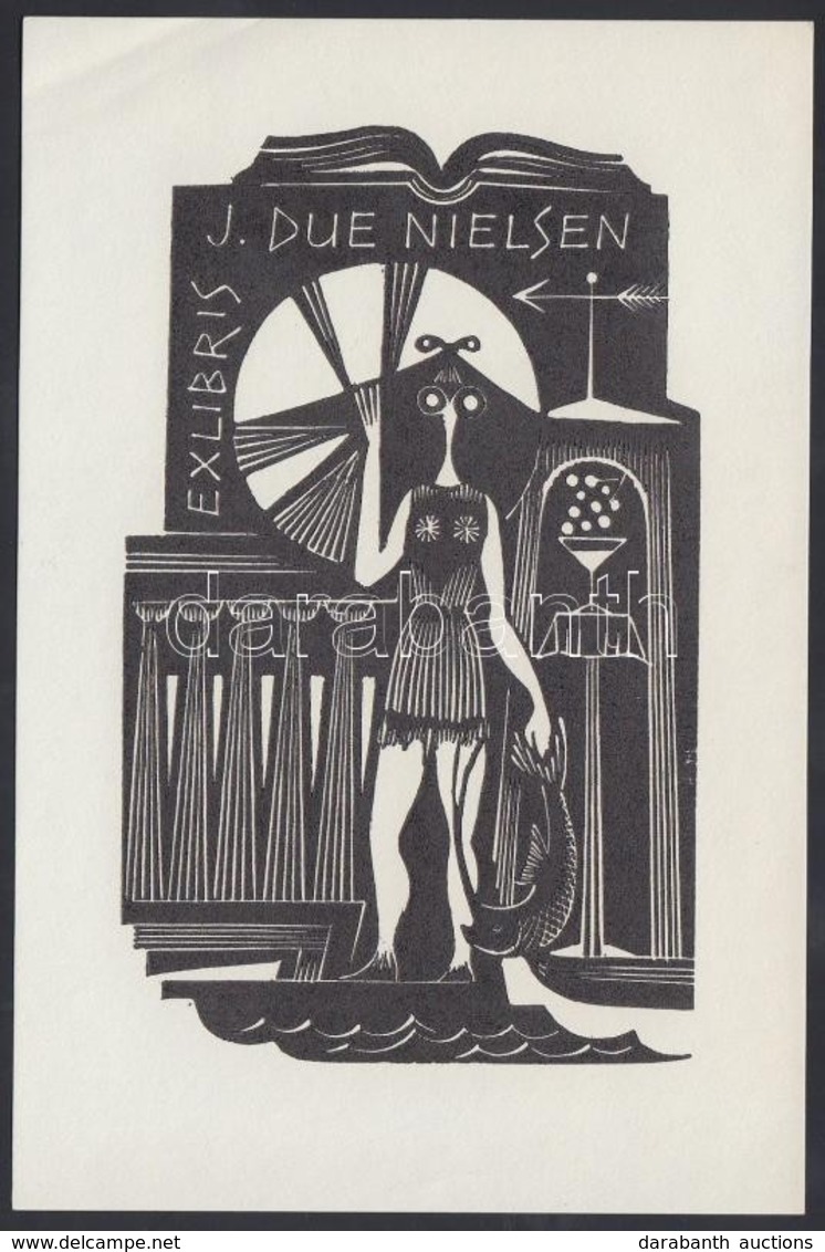 Dušan Janoušek (1928-1966): Ex Libris Nielsen. Fametszet, Papír, Jelzett, 10×6 Cm - Andere & Zonder Classificatie