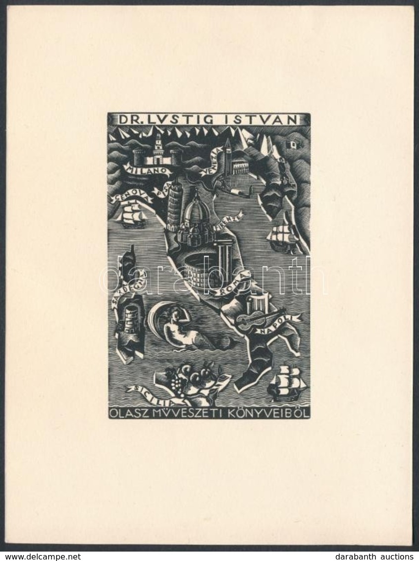 Jelzés Nélkül: Ex Libris Dr. Lustig István. Fametszet, Papír, 9×6 Cm - Other & Unclassified