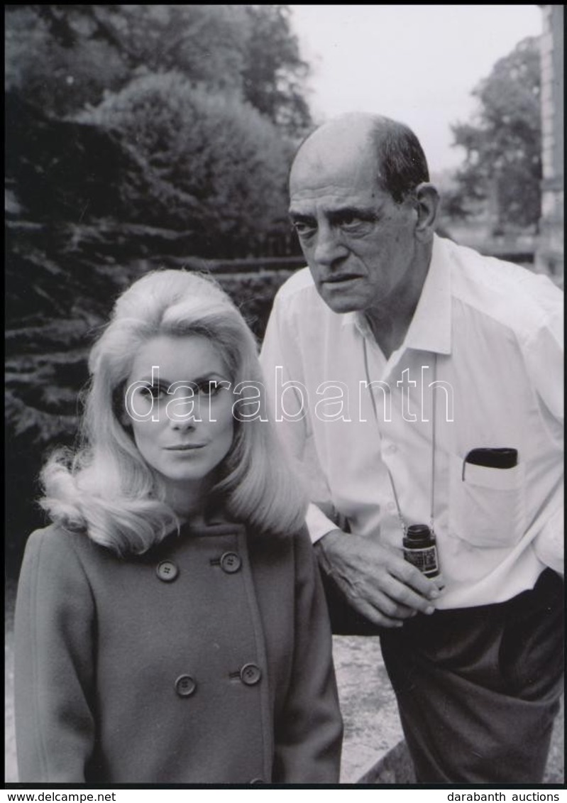 Luis Bunuel And Catherine Deneuve, Fotó 15x21 Cm - Other & Unclassified