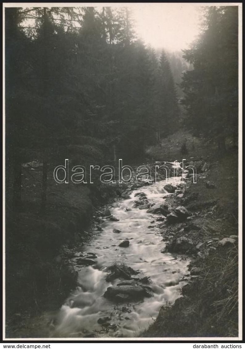 Cca 1910 A Dobsinai-patak Völgye, Erdélyi Mór Felvétele, Hátulján Feliratozva, 11,5×16 Cm /

Cca 1910 The Valley Of The  - Other & Unclassified