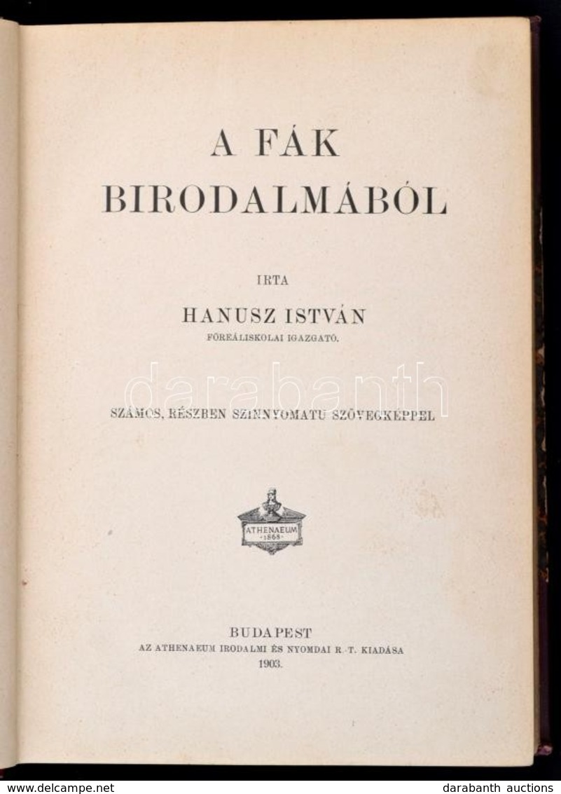 Hanusz István: A Fák Birodalmából. Számos, Részben Színnyomatú Szövegképpel.
Bp., 1903, Athenaeum. [4], 315,[3]p. Színes - Non Classés