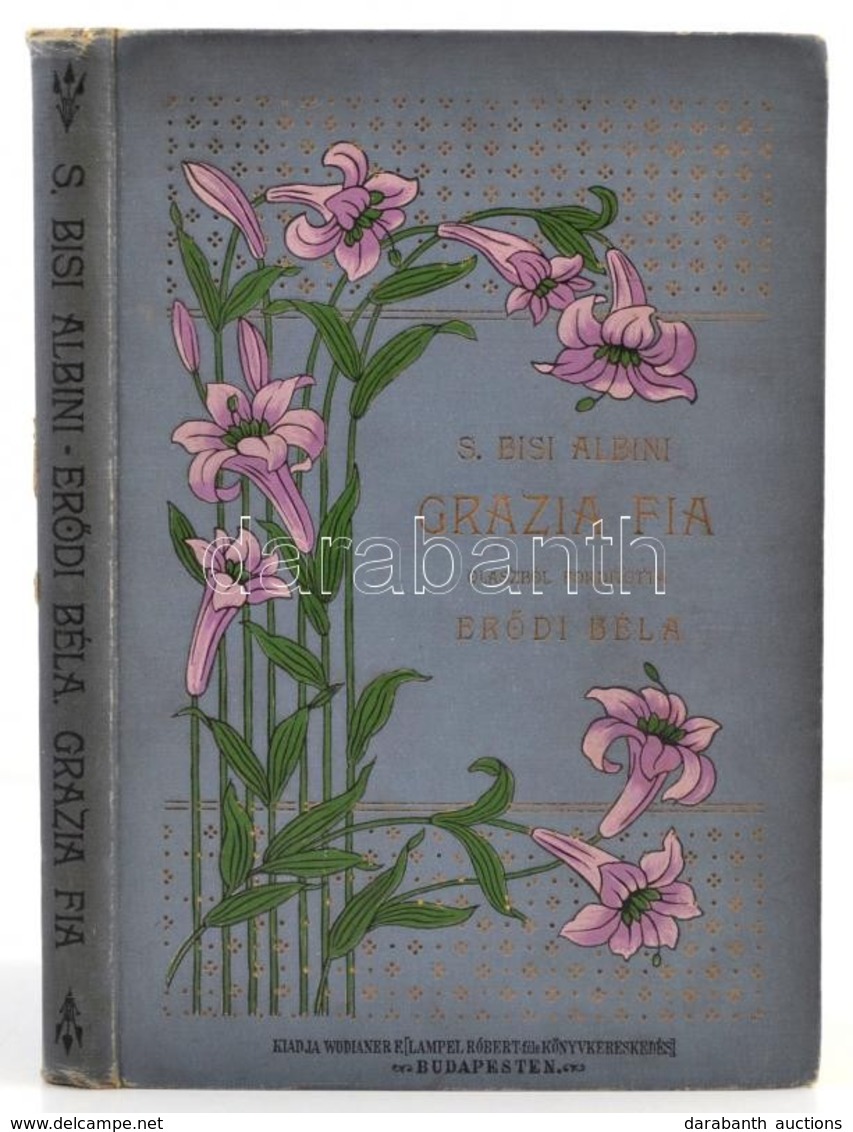 Bisi Albini, Sofia: Grazia Fia
Olaszból Fordította Erődi Béla. Bp., 1903. Lampel R. 196 L. 1 Sztl.lev. Kiadói, Festett,  - Unclassified