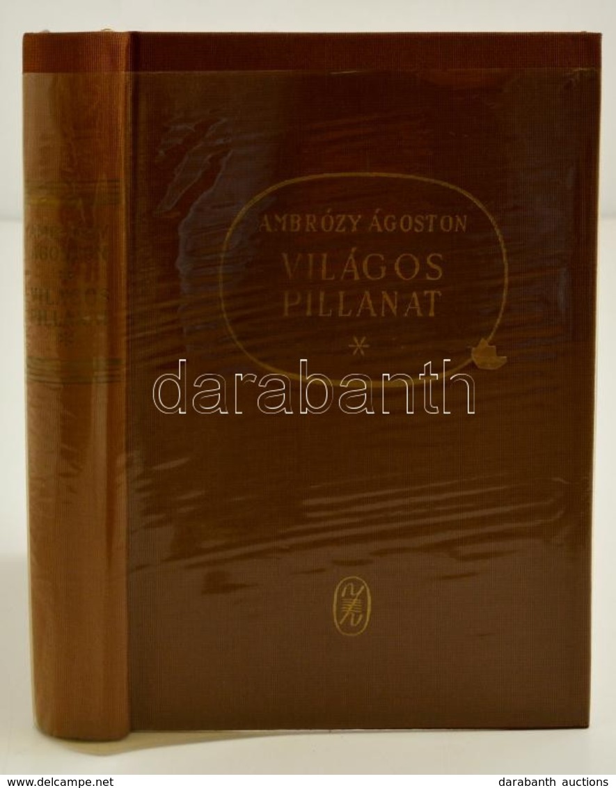 Ambróczy Ágoston: Világos Pillanat. Schumann életregénye. Bp., 1964, Zeneműkiadó. Kiadói Egészvászon-kötés. A Szerző ált - Unclassified