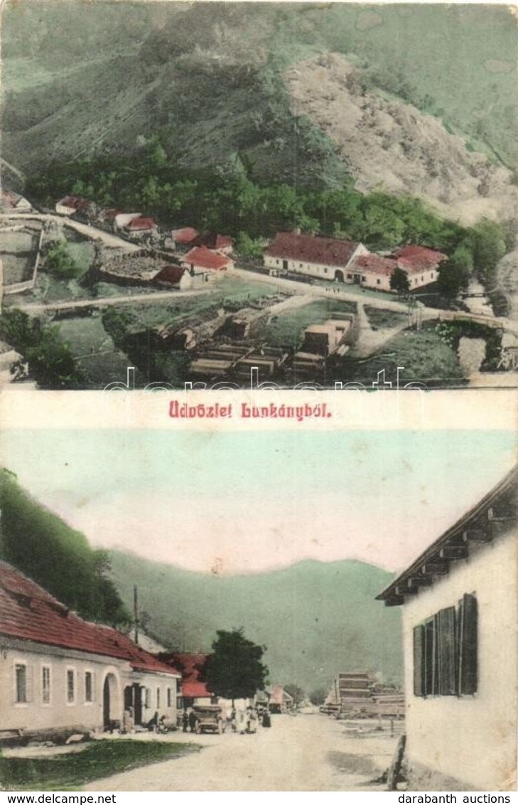 * T2/T3 Bégalankás, Lunkány, Luncanii De Jos; Utcakép, Fűrésztelep. Ruschil János Domokos Kiadása / Street View, Sawmill - Zonder Classificatie