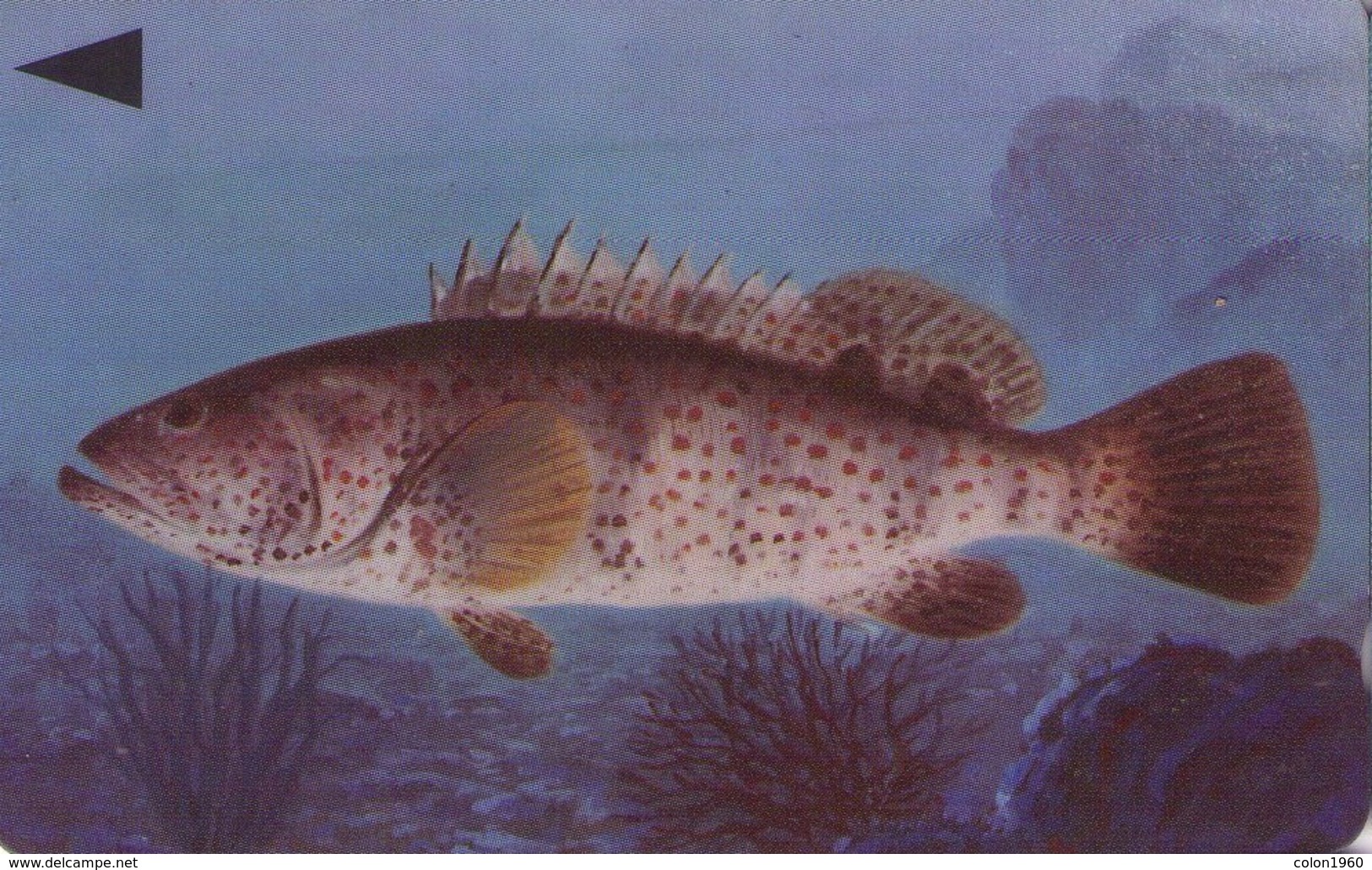 BAHREIN. 39BAHS. FISH - PEZ. GROUPER. 1996. (001) - Baharain