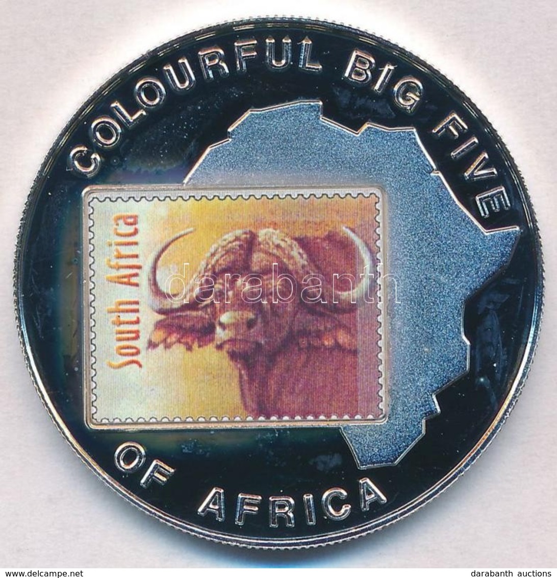 Uganda 2001. 1000Sh Cu-Ni 'Vízibivaly' Multicolor T:PP Fo.
Uganda 2001. 1000 Shillings Cu-Ni 'Water Buffalo' Multicolor  - Zonder Classificatie