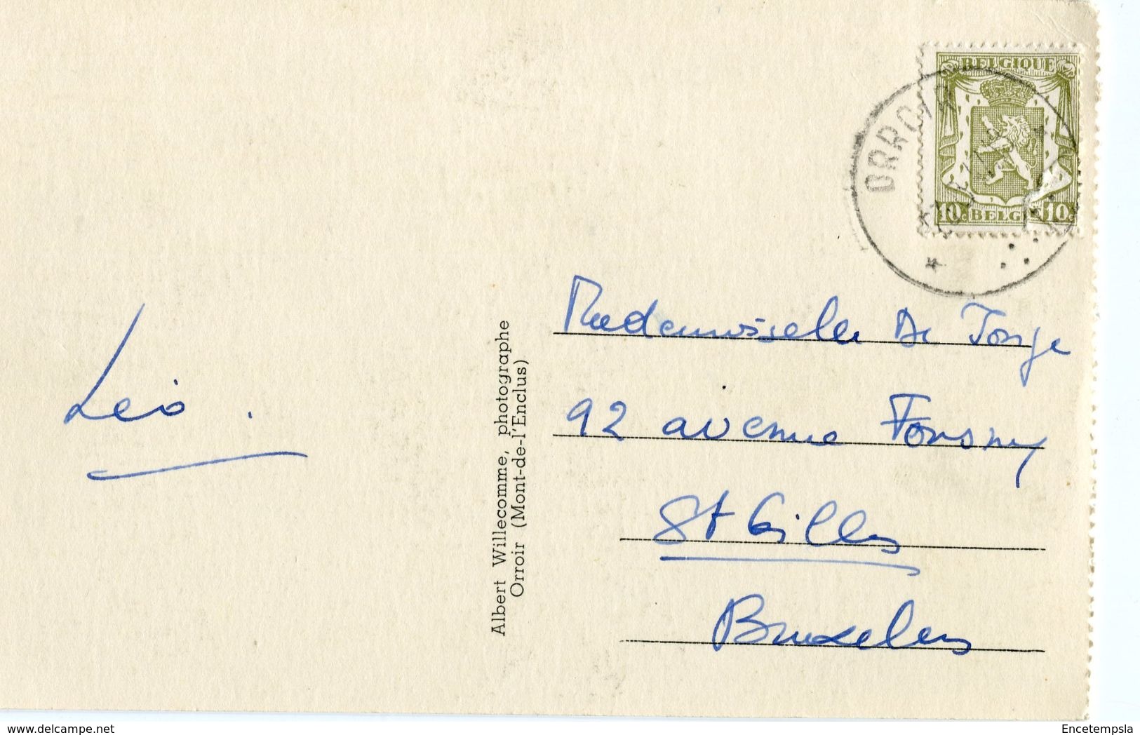 CPA - Carte Postale - Belgique - Mont De L'Enclus - Années 30 (CP75) - Celles