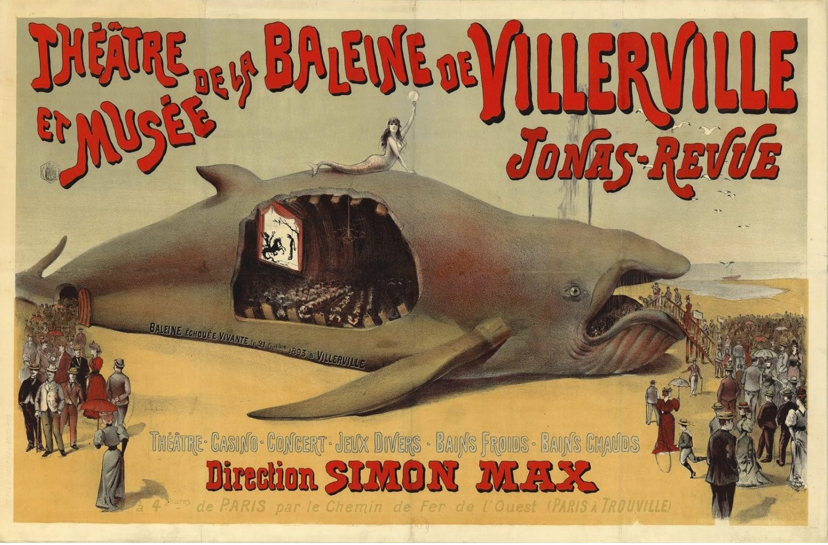 Théâtre Et Musée De La Baleine De Villerville - Carte Photo Moderne - Advertising