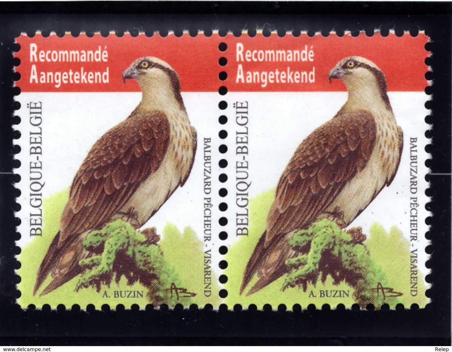 Belgique 2011- Birds - Fish Eagle ** MNH - Nuevos