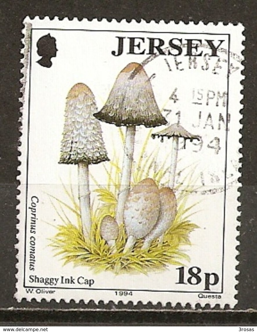 Jersey 1994 Champignon Mushroom Obl - Jersey