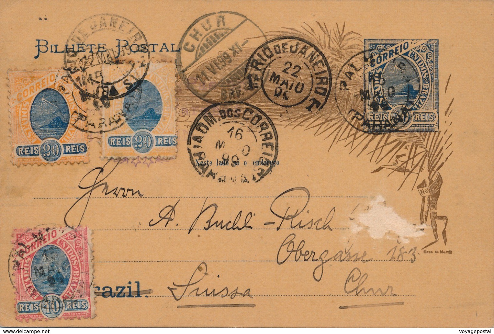 Entier Postal Palmeira Brésil Pour La Suisse - Brieven En Documenten