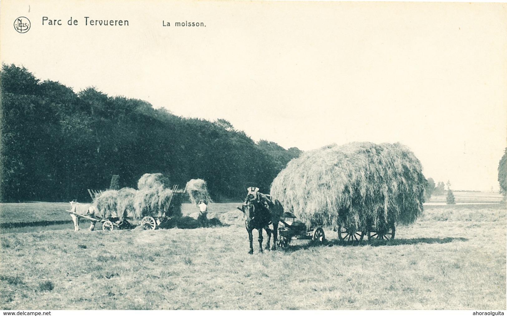 008/30 TERVUREN  - Carte-Vue  Parc De Tervueren  - La Moisson (Cheval ) - Non Circulée - Tervuren