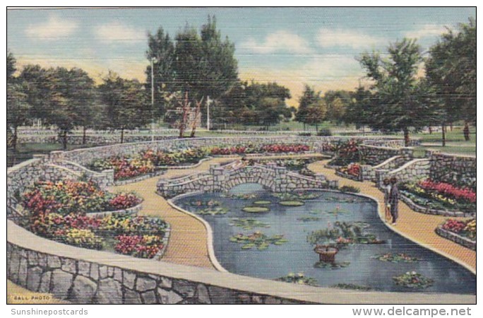 New Mexico Roswell Sunken Garden Cahoon Park Curteich - Roswell