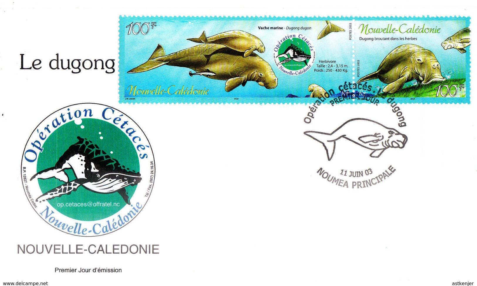 NOUVELLE CALEDONIE - FDC De 2003 N° 898 à 899 - Lettres & Documents