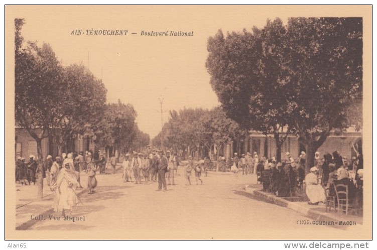 Ain Tremouchent Algeria, Aïn Témouchent, Boulevard National, Street Scene C1920s Vintage Postcard - Other & Unclassified