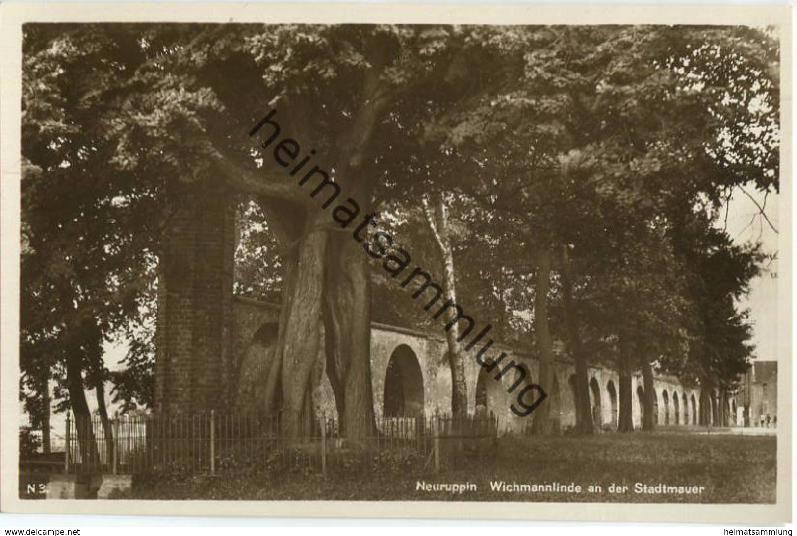 Neuruppin - Wichmannlinde An Der Stadtmauer - Foto-AK 30er Jahre - Verlag Rudolf Lambeck Berlin - Neuruppin