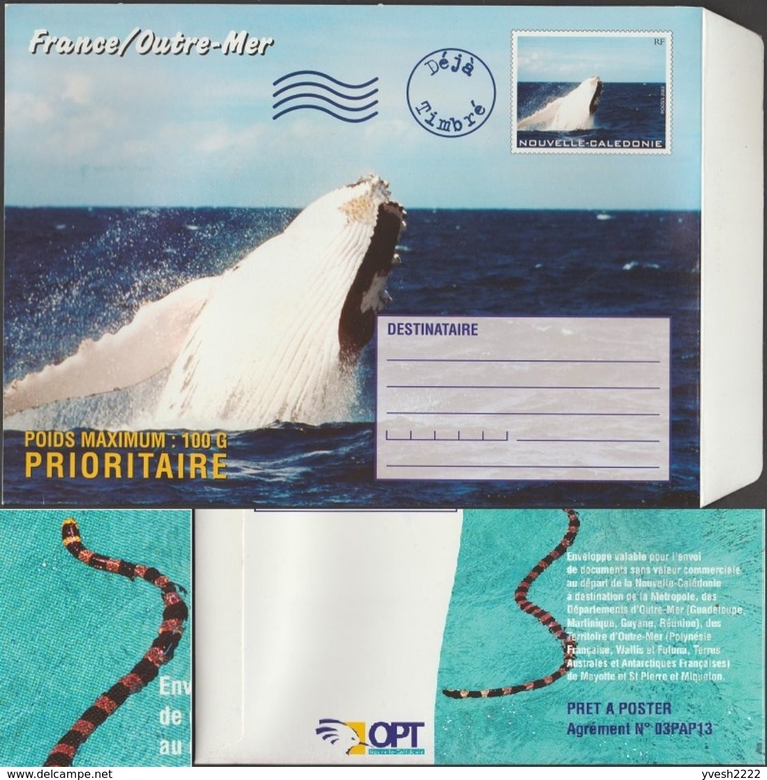 Nouvelle Calédonie 2003. Entier Postal Pour La France, 100 Grammes. Baleine à Bosse Et Tricot Rayé, Serpent Marin - Wale