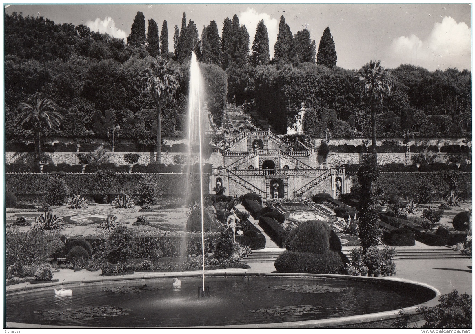 Pistoia Collodi Frazione Del Comune Di Pescia Pinocchio Storico Giardino Garzoni - Pistoia