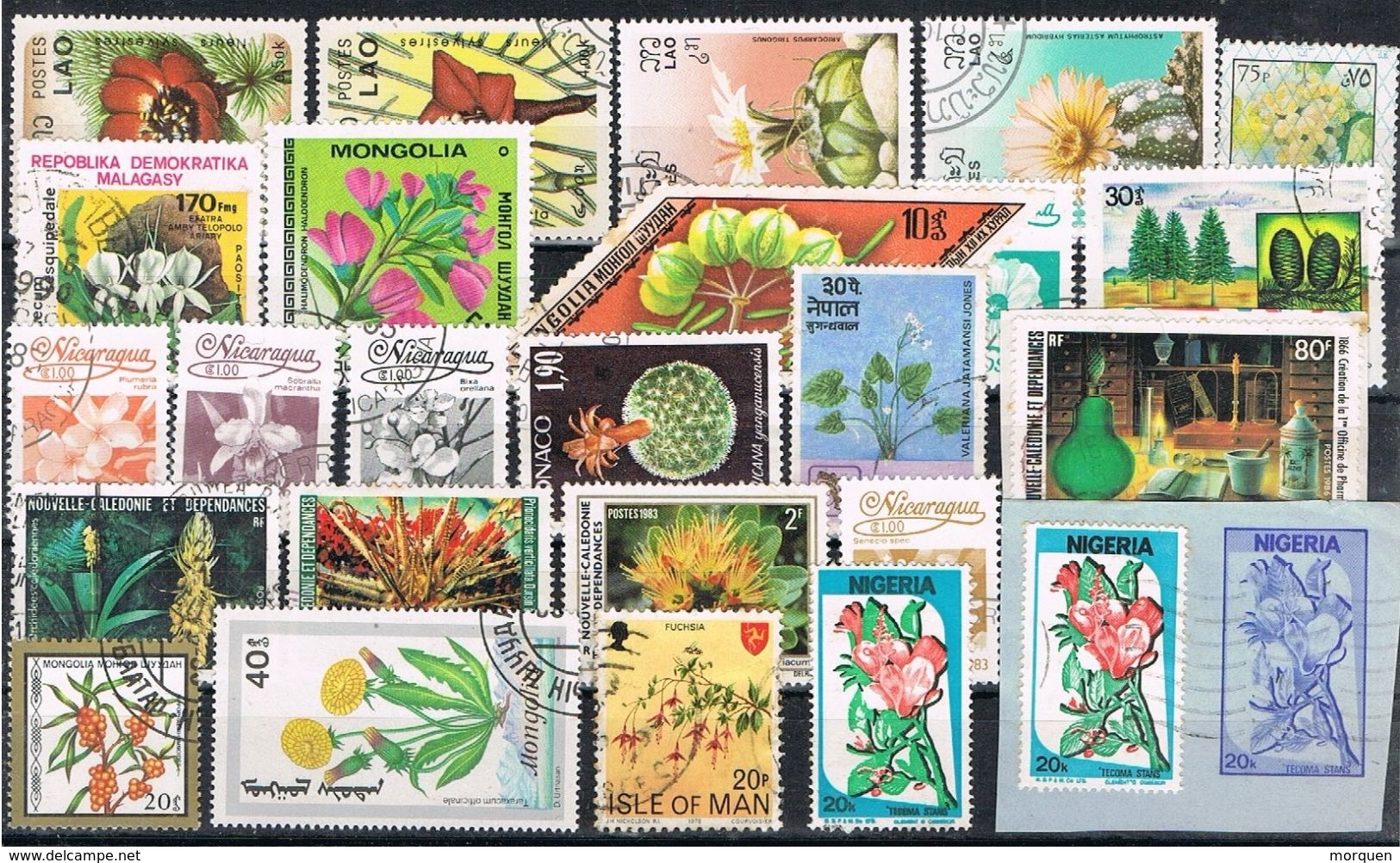 27230. Gran Lote  + 560 sellos mundiales, VEGETAL, Plantas, Flores, cactus, plantas medicianles, frutas, arboles º/*/**