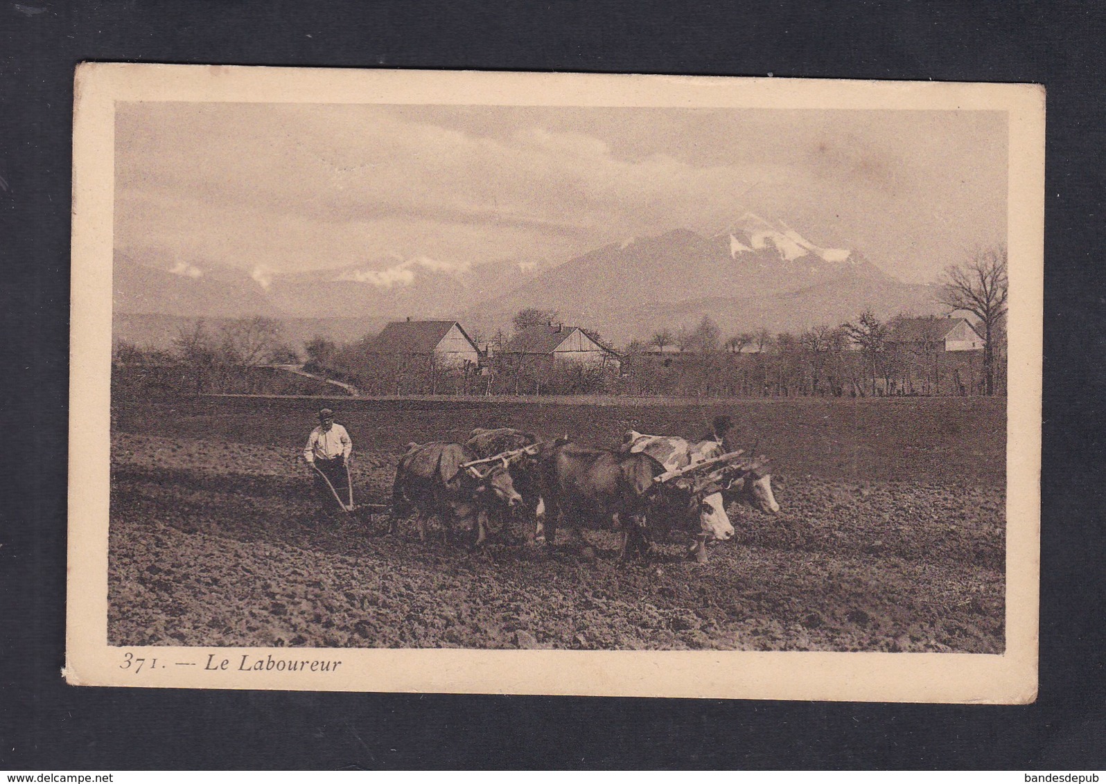 Suisse BL Carte Postée De Sissach - Le Laboureur ( Attelage Boeufs Comptoir Artistique Geneve ) - Sissach