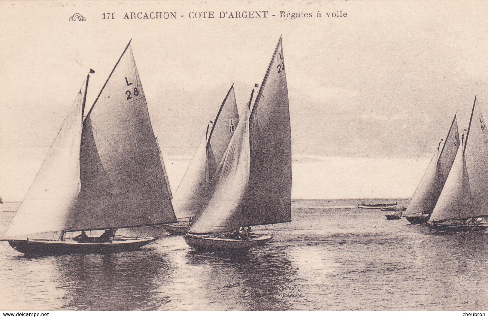 33.  ARCACHON. CPA. RÉGATES A VOILE - Arcachon