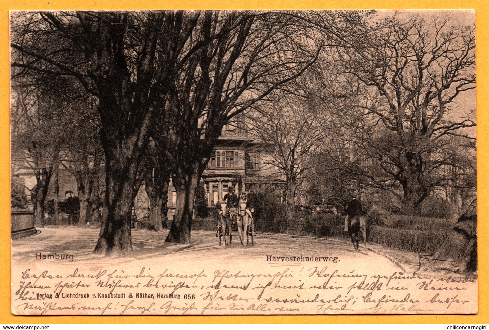 Hamburg - Harvestehuderweg - Calèche - Animée - LICHTDRUCK V. KNACKSTEDT & NATHER - 1900 - Eimsbuettel